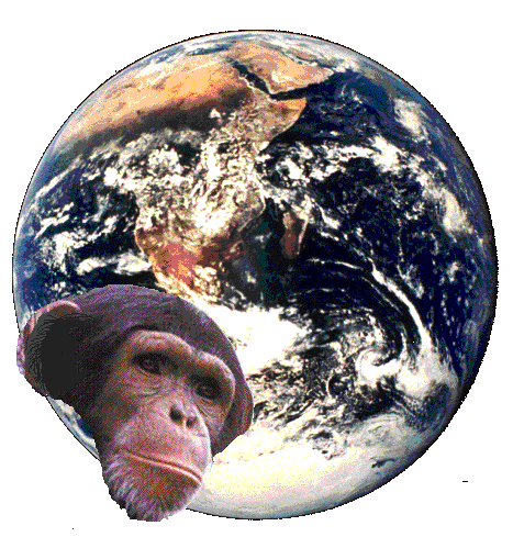 monkey_face_planet.gif
